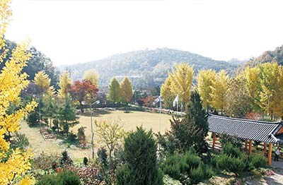 산책로