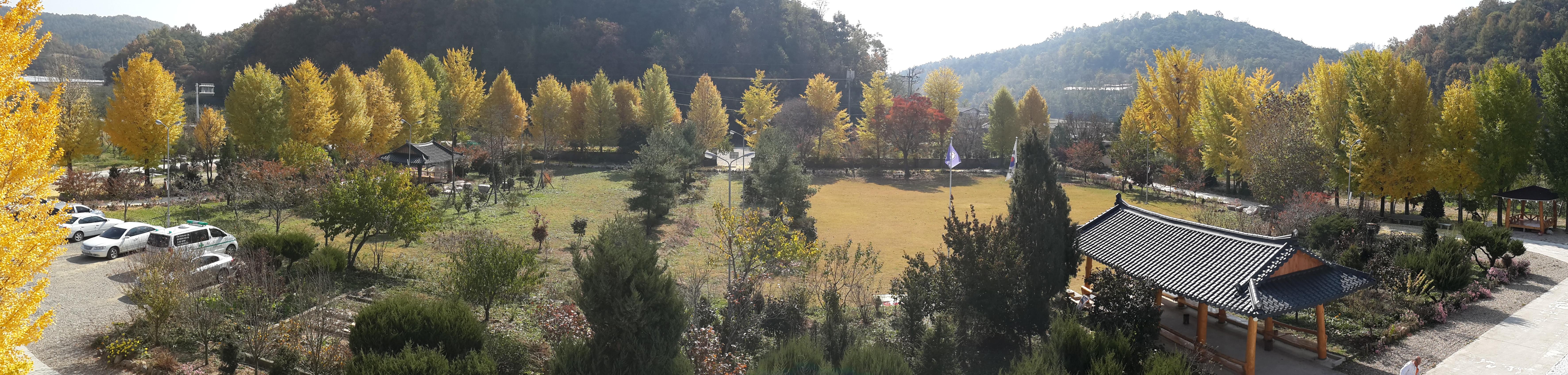 병원 가을전경